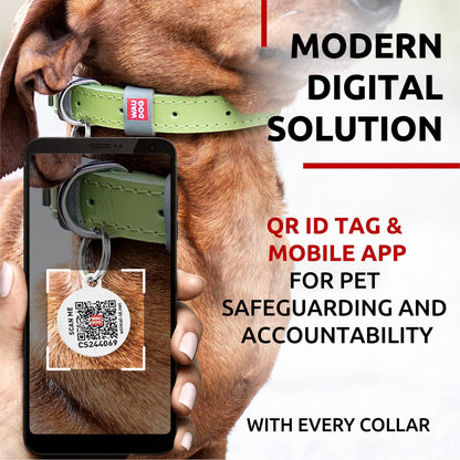 WAUDOG Long Lasting Leather Dog Collar for Large Dogs Medium & Small Dogs Adjustable Classic Puppy Collars for Large Breed Dogs Boy & Girl Dog Collars with Durable Buckle D Ring & QR Dog Tag