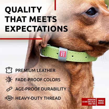 WAUDOG Long Lasting Leather Dog Collar for Large Dogs Medium & Small Dogs Adjustable Classic Puppy Collars for Large Breed Dogs Boy & Girl Dog Collars with Durable Buckle D Ring & QR Dog Tag
